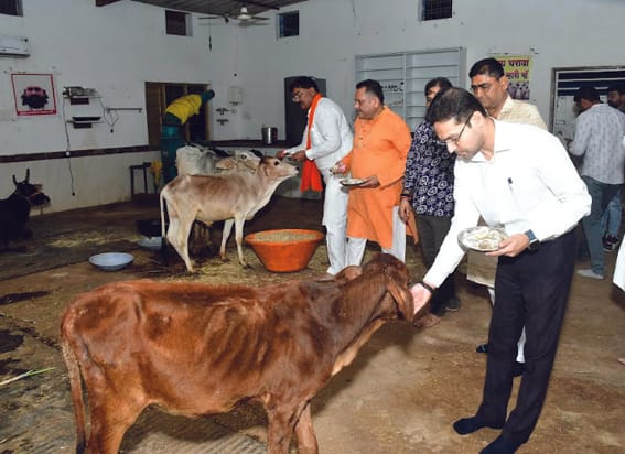 Govardhan worship program concluded