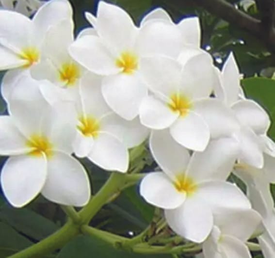 Why did you believe...