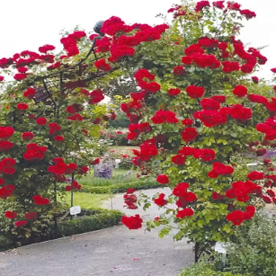 This life craves him, it makes us wait for him...