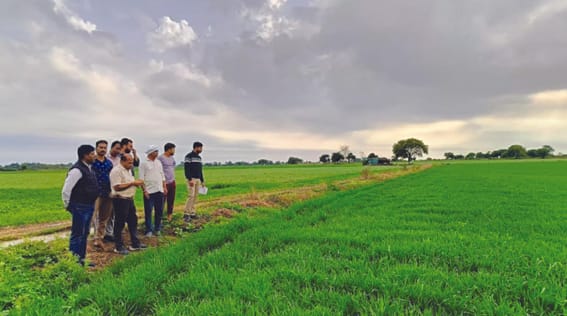 Advice given to farmers for Rabi crop