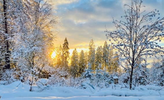 O beautiful valleys call me...