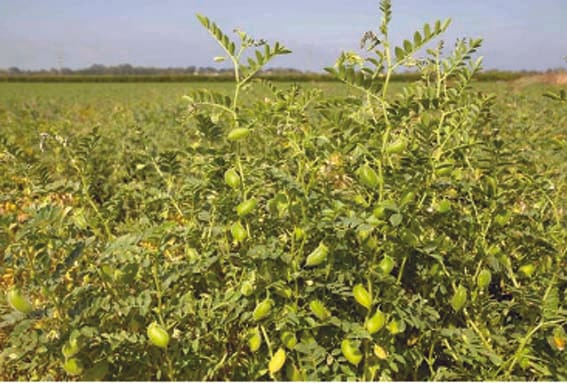 A team from the Agriculture Department