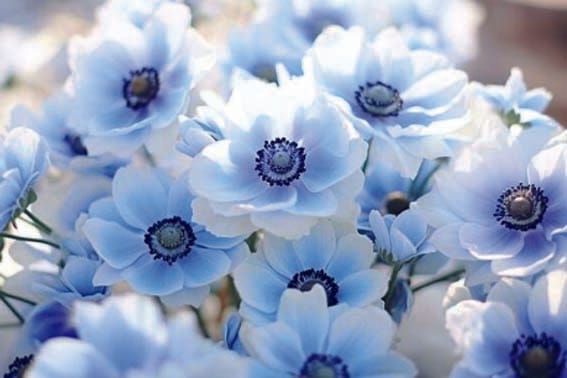 What kind of life has given us a reason to live...