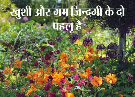 It is not fair to life to bow down to any pain