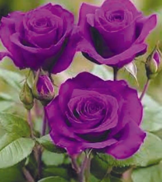 I won't get lost in your thoughts