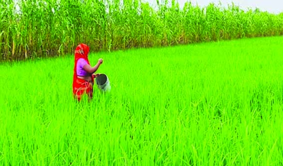 Chief Minister will address the farmers welfare programme on February 10