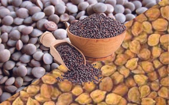 Registration of gram, lentil and mustard on March 10