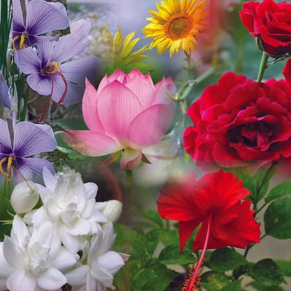 I could not make any complaint...