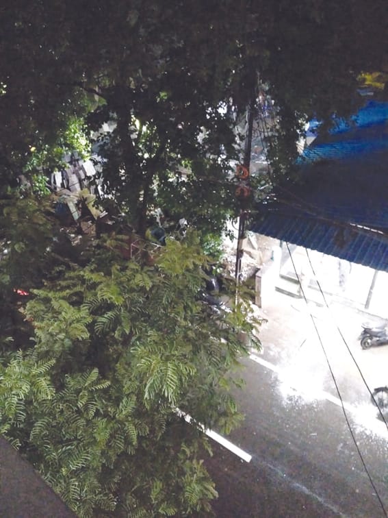 The clouds rained heavily in Harda and the pleasant weather of rain started