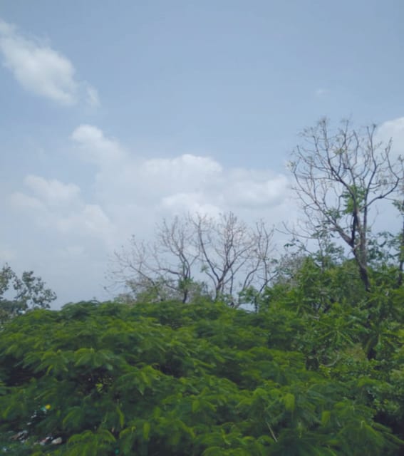 The city of Harda is waiting for heavy rains, the angry clouds please return