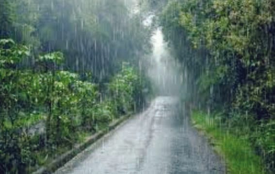 Conserving rainwater gives new life to natural resources