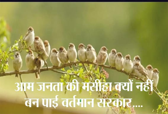 Why the present government could not become the savior of the common people