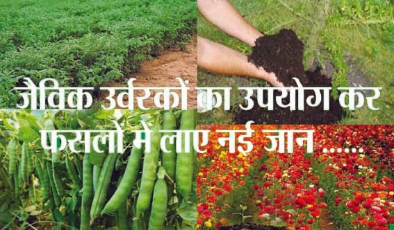 Revitalize your crops by using organic fertilizers.
